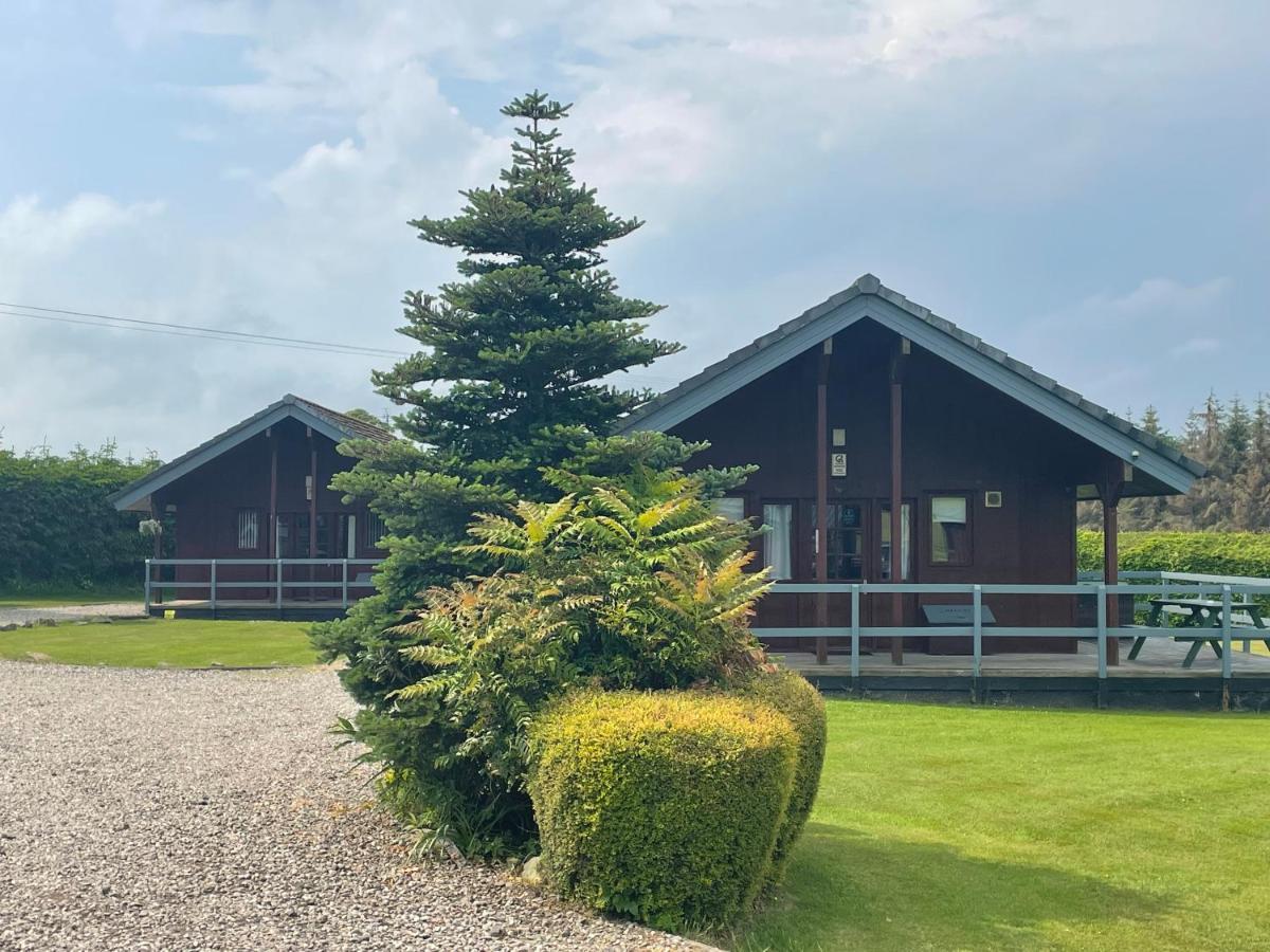 Wellsfield Farm Holiday Lodges Stirling Exteriér fotografie