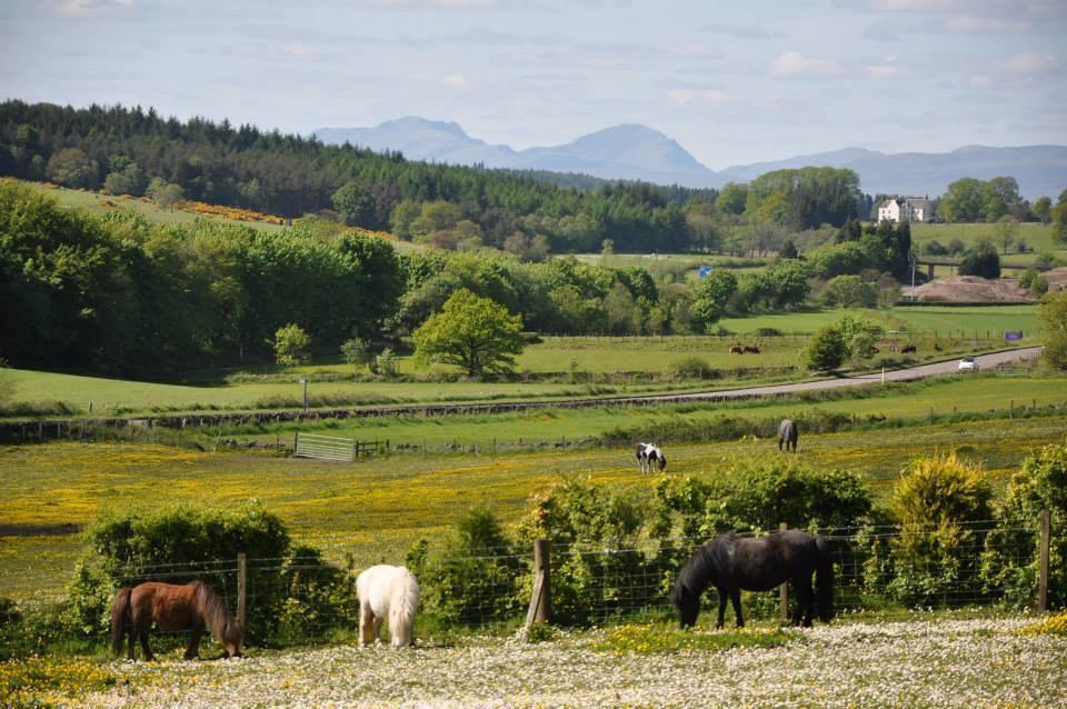 Wellsfield Farm Holiday Lodges Stirling Exteriér fotografie